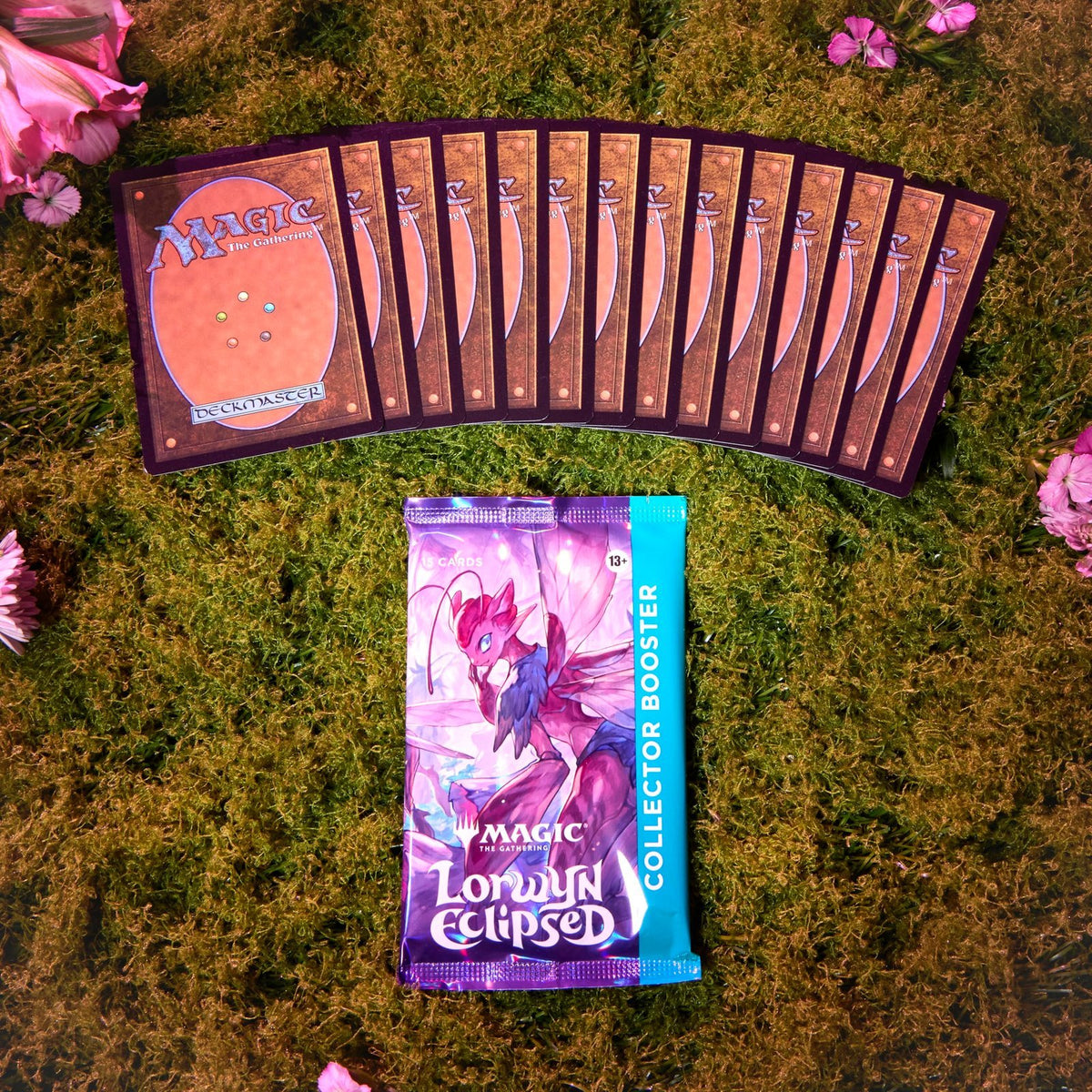 Magic: the Gathering Lorwyn Eclipsed – Collector Booster Box | 12 Packs